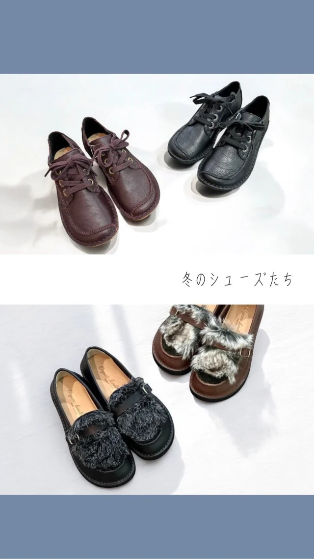 2024
Autumn &Winter
@akaikutsu

Organic handloomと
Clarks のナチュラルなシューズ🍁

これから寒い冬にあったかソックスで
履ける可愛いシューズたちをご紹介

　
#Organichandloom
#オーガニックハンドルーム
#Clarks #クラークス#FunnyDream#ファニードリーム #レースアップシューズ
#SEVRESFUR#ストラップシューズ
#ナチュラルシューズ#日本製#スリッポン#ファーシューズ#エコファッション#サステナブルファッション#エシカルファッション#スローシューズ#メイドインジャパン#足に優しい#シンプルファッション#クローゼット必須#エシカルライフ#手作りシューズ#オーガニックライフ#エコファー